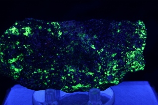 Autunite  - Altenberg, Erzgebirge, Saxony, Germany